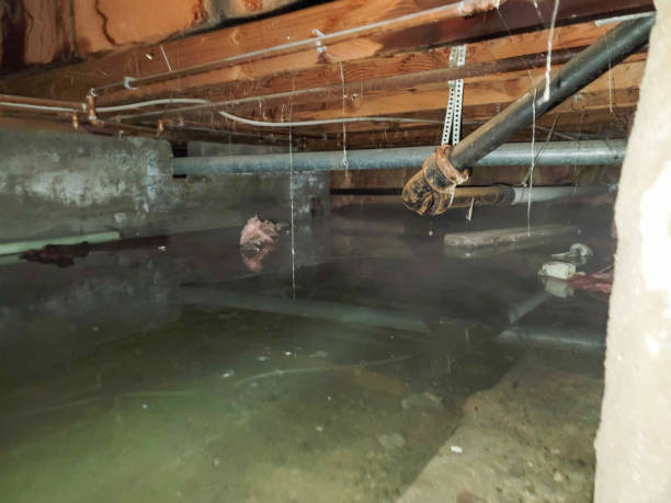 Best Professional water damage repair  in Wurtsboro, NY