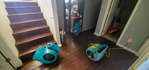 Best Water damage restoration near me  in Wurtsboro, NY