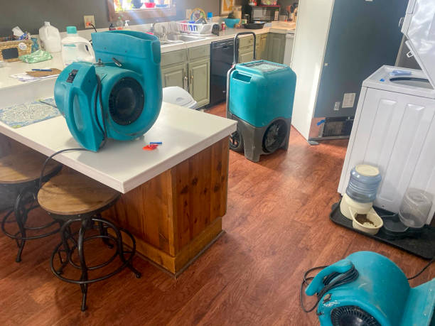 Best Residential water damage restoration  in Wurtsboro, NY
