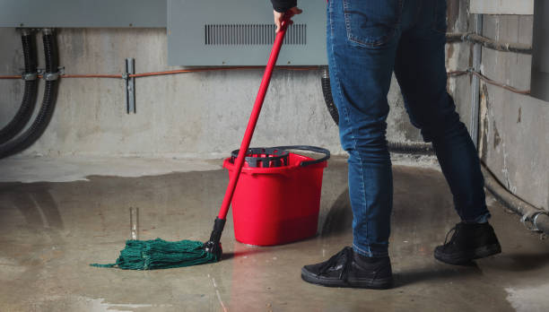 Best Local water damage restoration  in Wurtsboro, NY