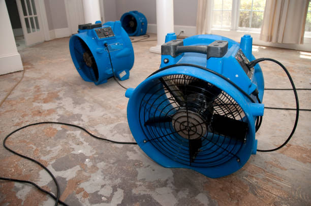  Wurtsboro, NY Water damage restoration Pros